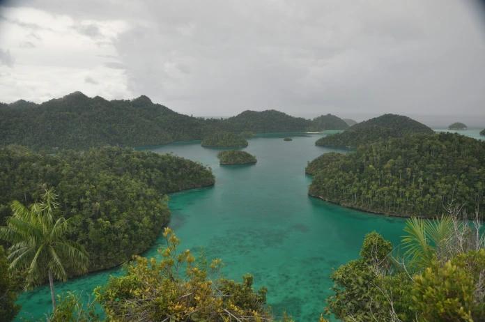 a body of water surrounded by green trees